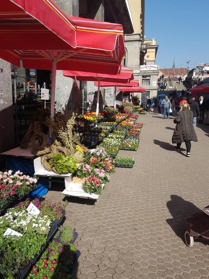 Bed & Breakfast Sky Zagreb Eksteriør bilde